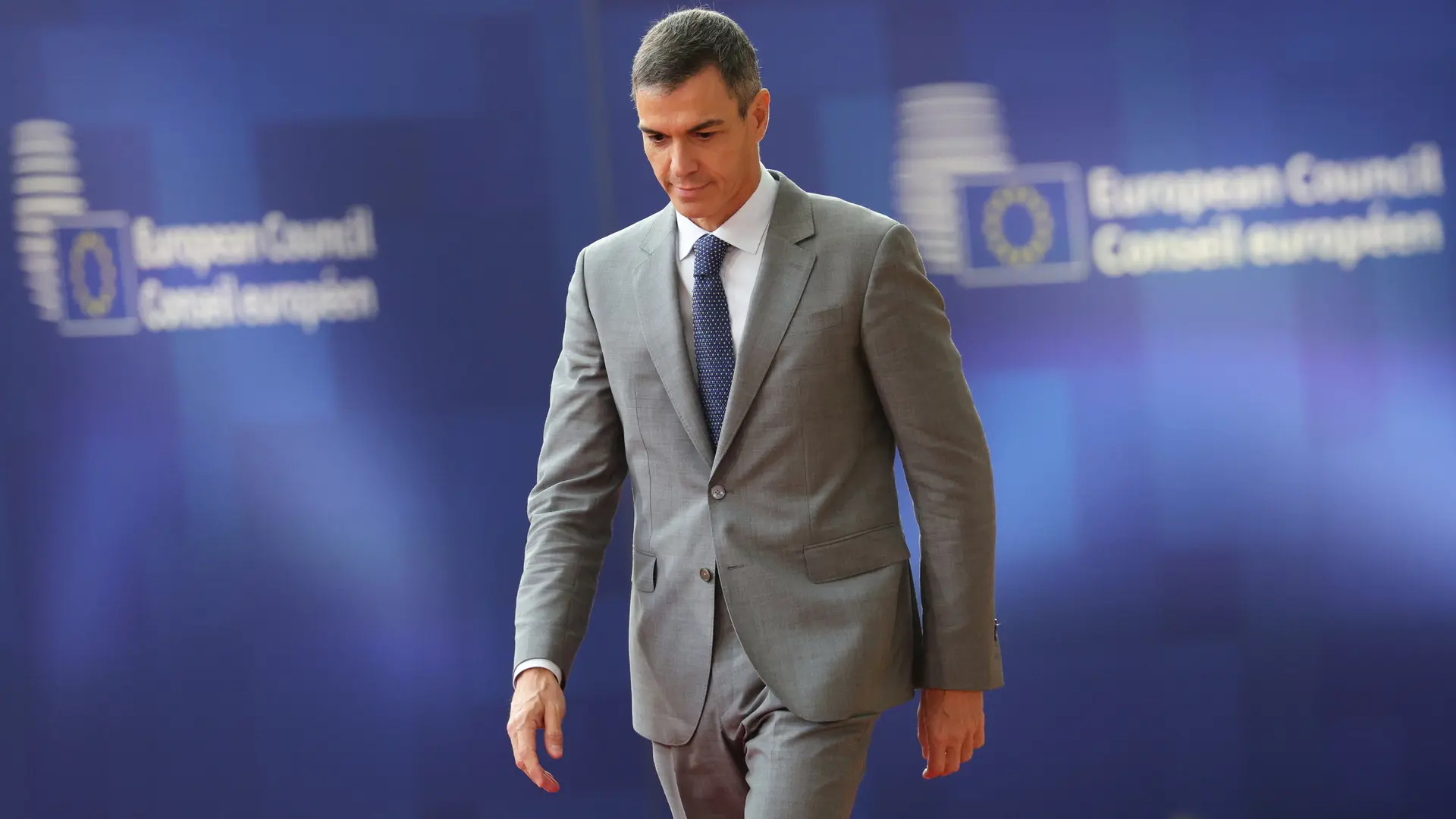 El Comité Federal del PSOE proclama a Pedro Sánchez como candidato a la Presidencia del Gobierno y ratifica las candidaturas al 29N El Comité Federal del PSOE proclama a Pedro Sánchez como candidato a la Presidencia del Gobierno y ratifica las candidaturas al 29N
