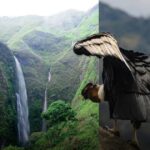 Este es el paraíso del Cauca donde vuela el cóndor de los Andes y nace el río Magdalena