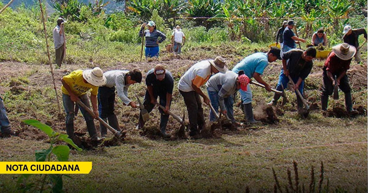 Las minas antipersona les enseñaron a los campesinos del Catatumbo a temerle a cada paso que dan en su propia tierra Las minas antipersona les enseñaron a los campesinos del Catatumbo a temerle a cada paso que dan en su propia tierra