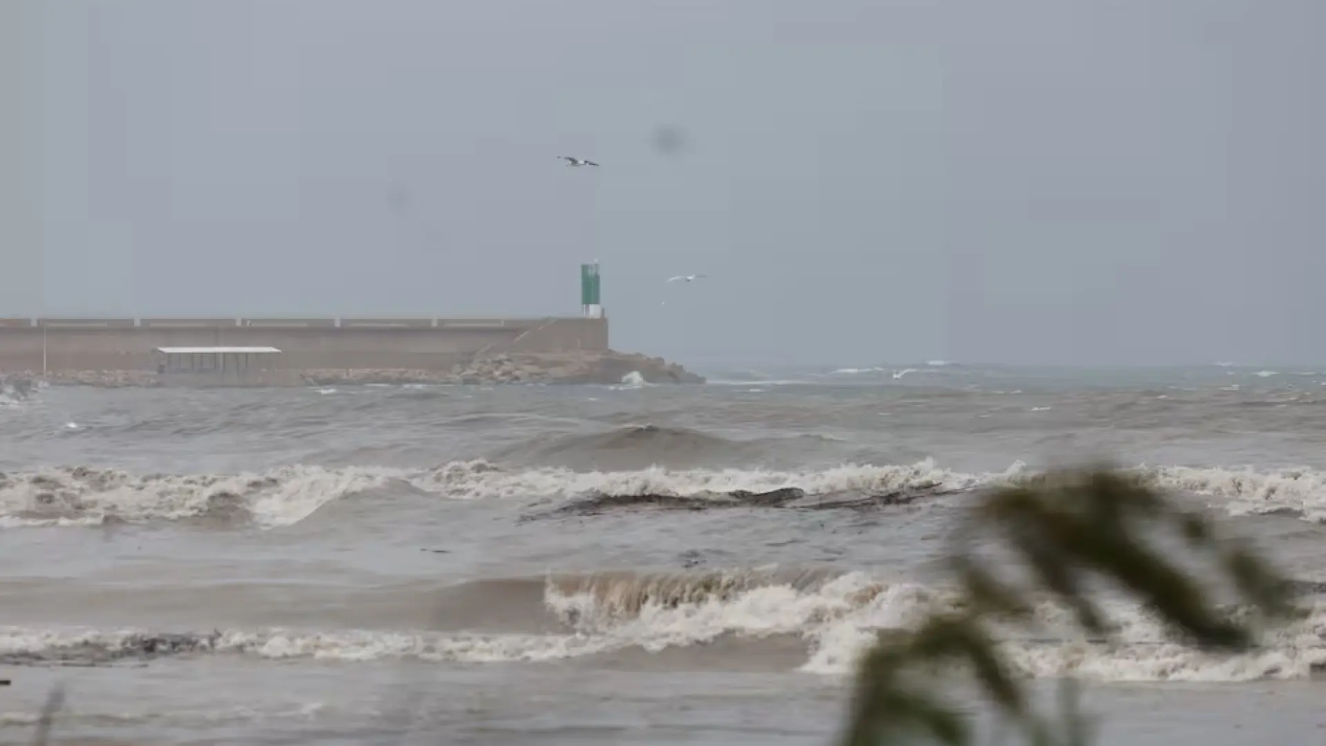 Muere una mujer en Sagunto cuando se bañaba en la playa durante la alerta por lluvia y oleaje en Valencia Muere una mujer en Sagunto cuando se bañaba en la playa durante la alerta por lluvia y oleaje en Valencia