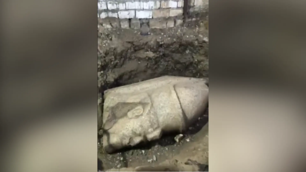 Un agricultor egipcio encuentra una escultura de Ramsés II mientras cultivaba pepinos